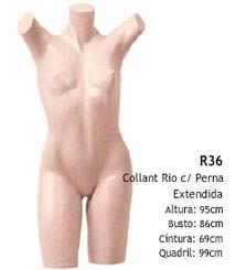 Manequim busto feminino R36 Manequim busto feminino R36