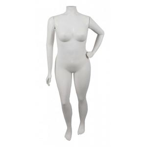 Feminino Plus Size com pose Braço Cintura  Feminino Plus Size com pose Braço Cintura